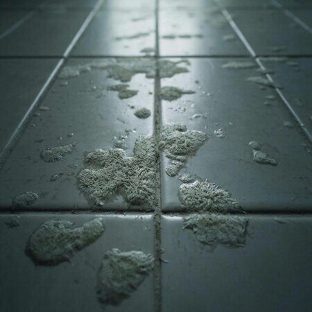 фото плесени в ванной комнате на керамической плитке