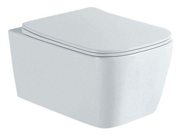 Либра Aquatek унитаз безободковый подвесной с сиденьем Soft Close  AQ1148N-00