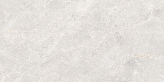 Anatolia светло-серый керамогранит матовый 120х60см Global Tile