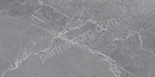 Диккенс серый керамогранит матовый 30х60см Lasselsberger Ceramics