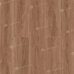 СОСНОВЫЙ БОР EASY LINE LVT клеевая плитка ПВХ Alpine Floor ECO 3-22