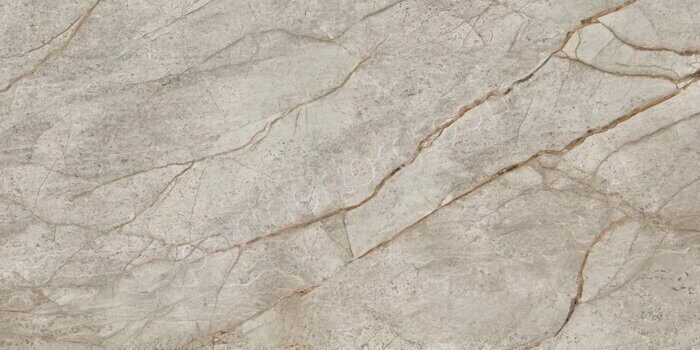 Empire Silver Root Lap керамогранит 60х120см Atlas Concorde