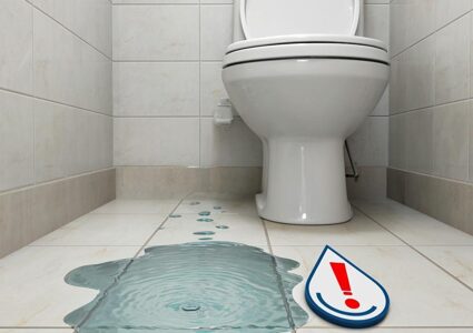 Почему течёт бачок унитаза: подробный разбор причин, пошаговые инструкции по ремонту и профилактике