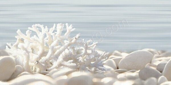 Del Mare декор бело-голубой глянцевый коралл камни 25х50см Alma Ceramica DWU09DLM624