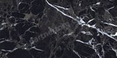 Emperor Jade Epsilon tile керамогранит полированный 60х120см