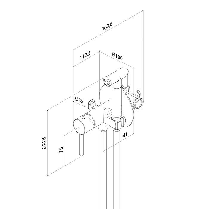 Axes Iddis золотой смеситель скрытого монтажа с гигиеническим душем 005MGR0i08