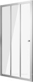 Grossman Falcon GR-D110Fa 110х190см душевая дверь в нишу