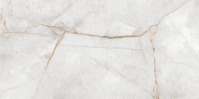 Special Marmo Gray LCM керамогранит серый полированный 120х60см