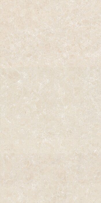 Ракушка бежевый керамогранит матовый граниль 60х120см Global Tile