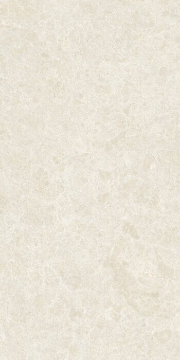 Ракушка бежевый керамогранит матовый 60х120см Global Tile