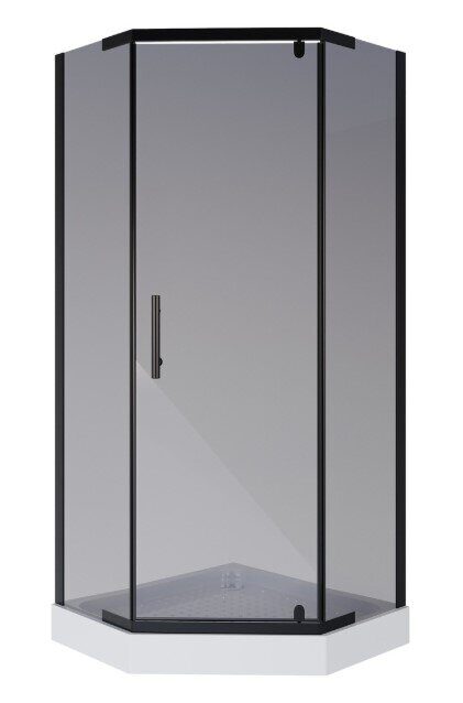 Niagara Eco NG-010-14DT 100х100х195см душевое ограждение, поддон  13см, черный, стекло тонированное