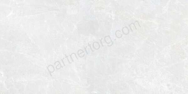 G311 Sinara Elegant Матовый MR керамогранит 120х60см