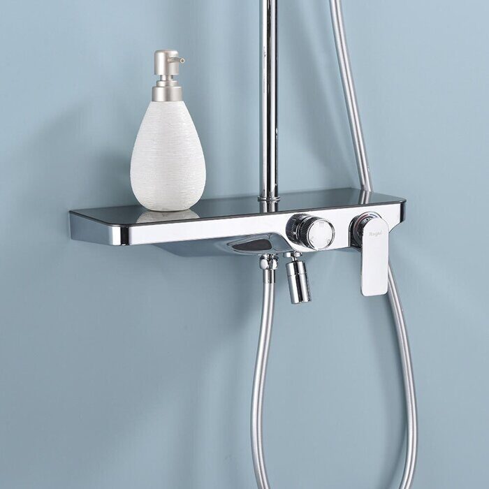 Raglo R60.24 Душевая система с полочкой, хром