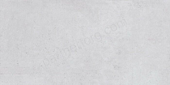 Scorpia silver керамогранит матовый серый 120х60см