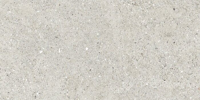 Granito Grigio серый матовый керамогранит 59,5х119,1см Ceradim CR6012G0471R