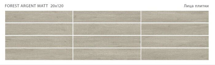 Forest Argent Staro керамогранит серый матовый 20х120 см
