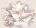 Amati Plumeria Beige панно (из 2 плиток) бежевое 40х50см Azori
