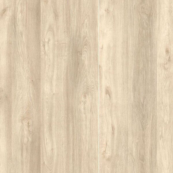 Synonym D50207 Дуб Теруэль ламинат 33 класс, 8 мм