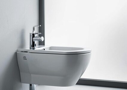 Что такое биде: от дворцовой роскоши до современного гаджета в ванной