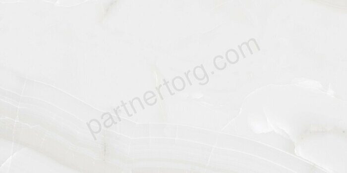Snow Onyx LCM керамогранит серый глянцевый 120х60см 