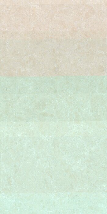 Ракушка бежевый керамогранит матовый граниль 60х120см Global Tile