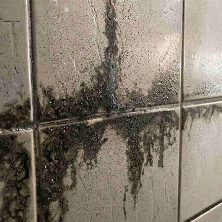 изображение черной плесени на керамической плитке