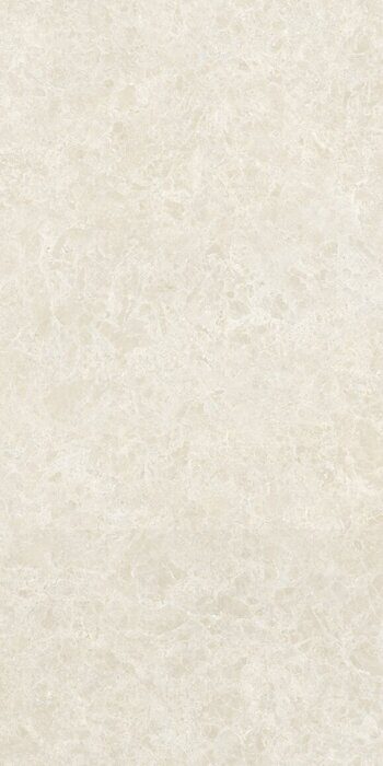 Ракушка бежевый керамогранит матовый 60х120см Global Tile