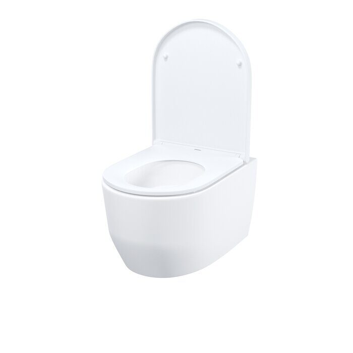 Aiger Подвесной унитаз безободковый Iddis с сиденьем AIGRDSEi25