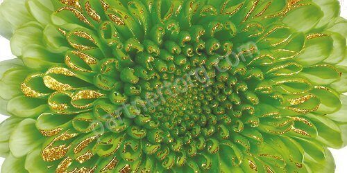 Нидерланды зеленый декор керамический Нефрит керамика