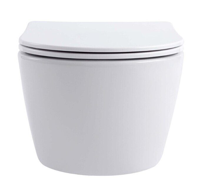 Европа Aquatek унитаз безободковый подвесной с сиденьем Soft Close  AQ1106L-00