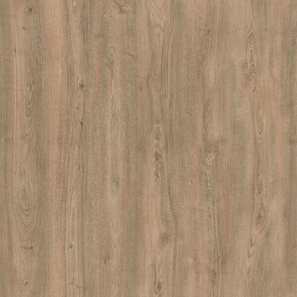 Synonym D50137 Дуб Мендель ламинат 33 класс, 8 мм