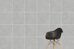 FlakeCement серый R10A керамогранит матовый 60х60см Vitra