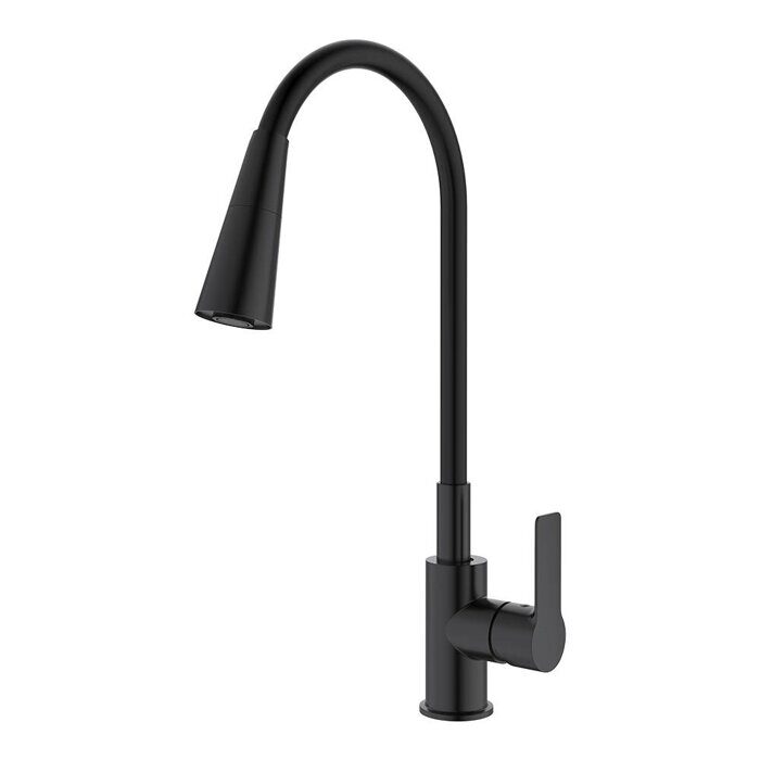 S06.43.06 Splenka Смеситель для кухни, черный