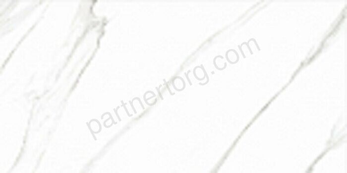 Whitey Veined керамогранит полированный 120х60см