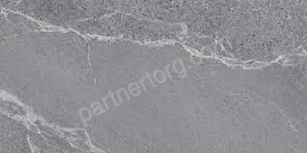 Диккенс серый керамогранит матовый 30х60см Lasselsberger Ceramics