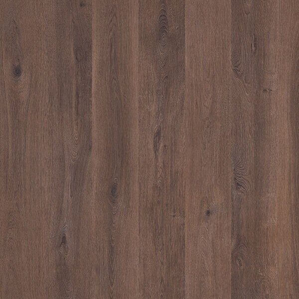 Synonym D50457 Дуб Гайс ламинат 33 класс, 8 мм