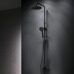 Душевая система стойка с тропическим душем, чёрный, F0780222 Like AM.PM